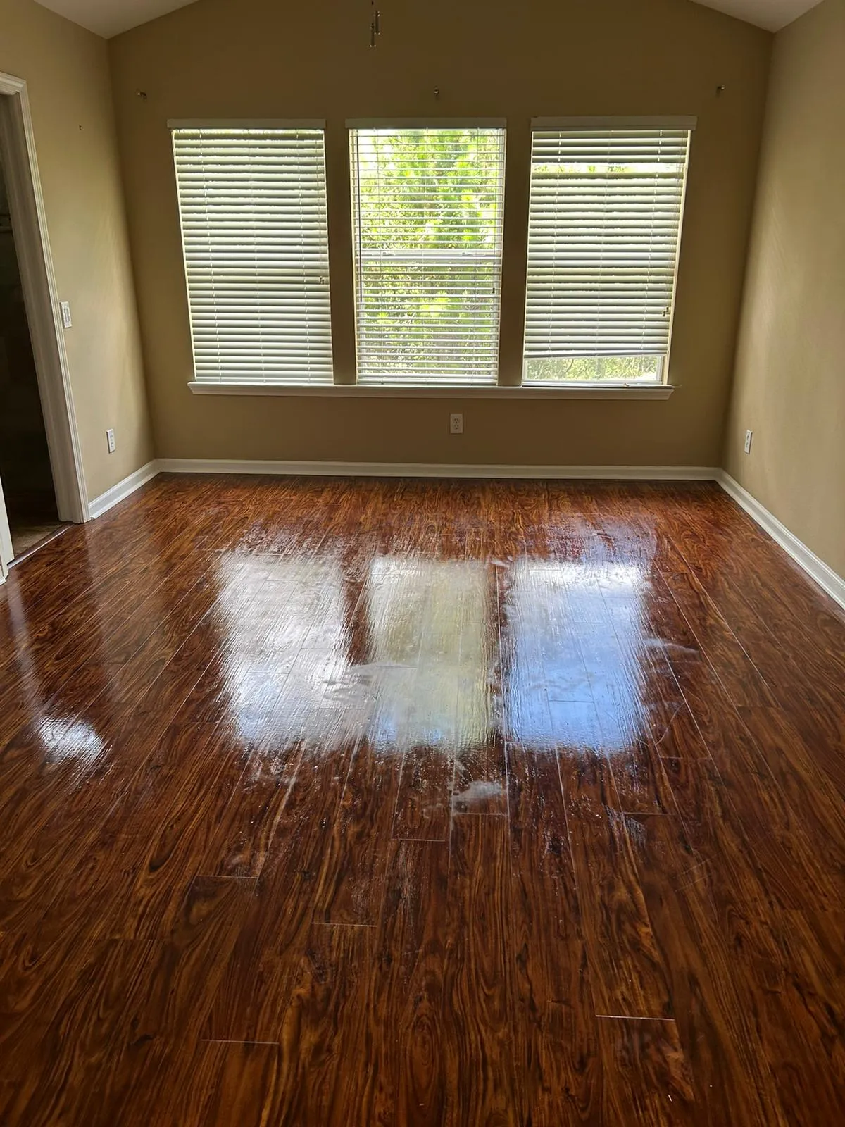 Shiny polished wooden floor reflecting light in an empty room with large windows